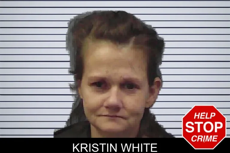 Kristin White mugshot – Chattooga County , Georgia Kristin White