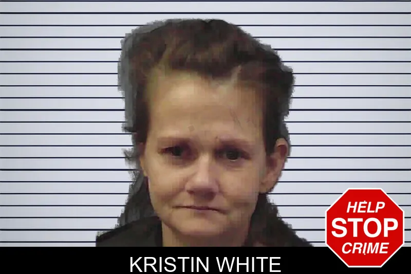 Kristin White mugshot