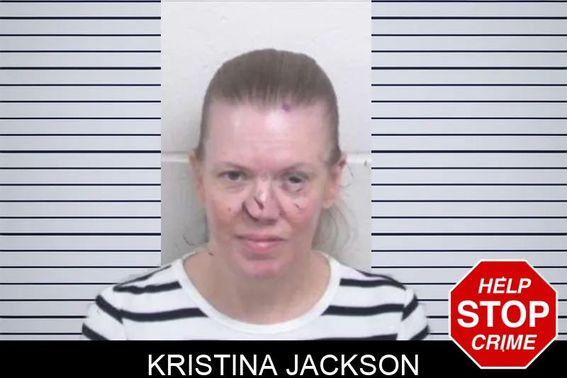 Kristina Jackson mugshot – Washington County , Georgia Kristina Jackson mugshot