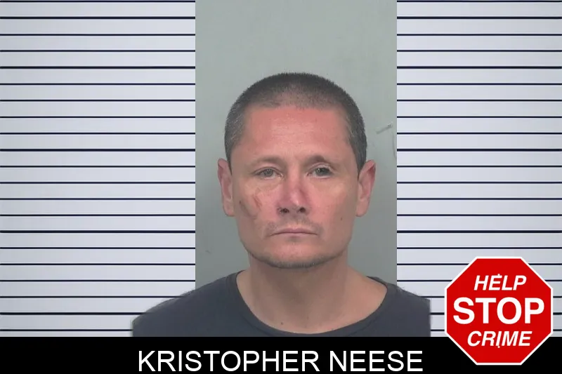 Kristopher Neese mugshot – Gwinnett County , Georgia Kristopher Neese mugshot