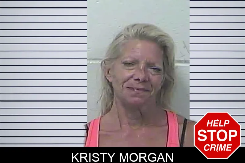 Kristy Morgan mugshot