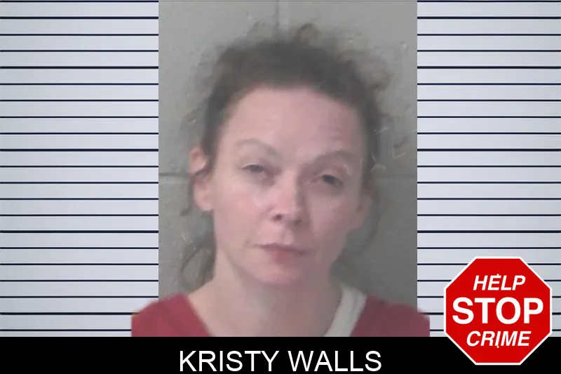 Kristy Walls mugshot – Newton County , Georgia Kristy Walls mugshot