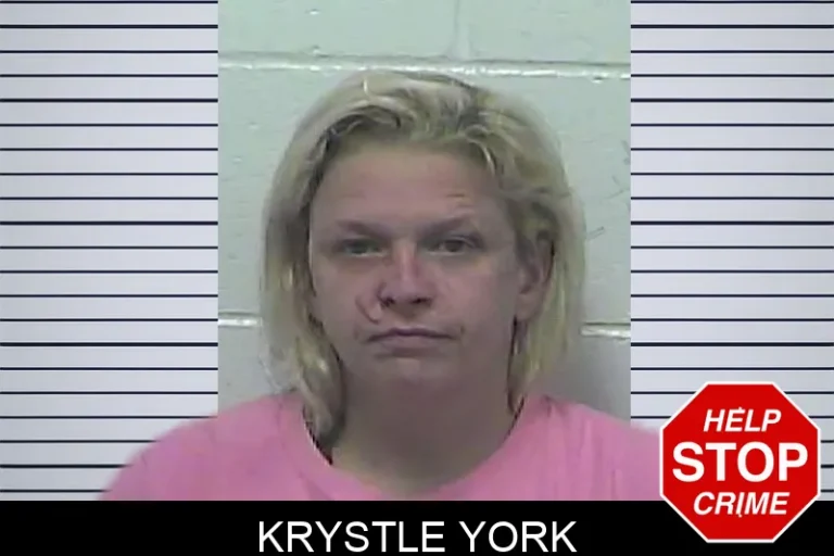 Krystle York