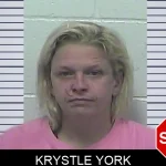 Krystle York mugshot – Dawson County , Georgia Krystle York mugshot