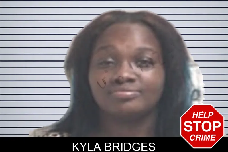 Kyla Bridges mugshot – Henry County , Georgia Kyla Bridges mugshot