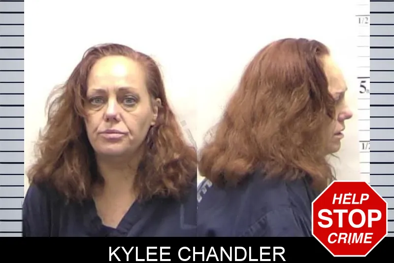 Kylee Chandler mugshot