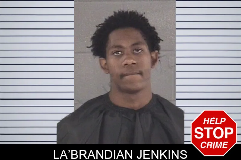 La’Brandian Jenkins mugshot