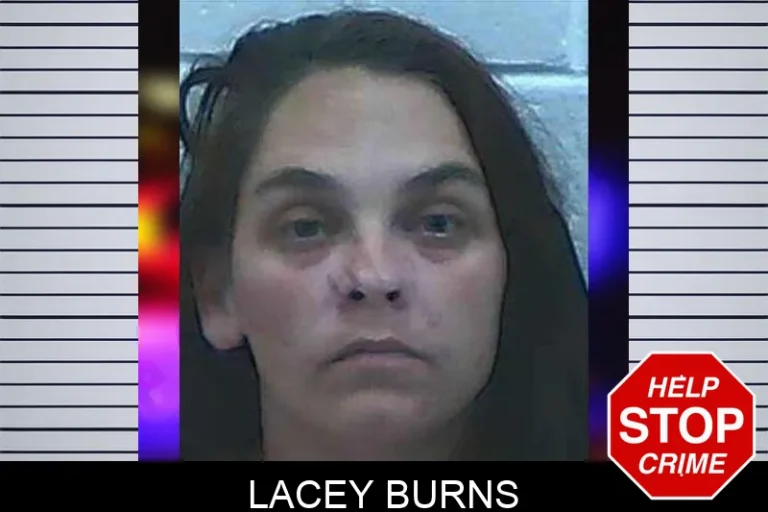 Lacey Burns mugshot – Jackson County , Georgia Lacey Burns