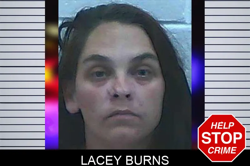 Lacey Burns mugshot – Jackson County , Georgia Lacey Burns mugshot