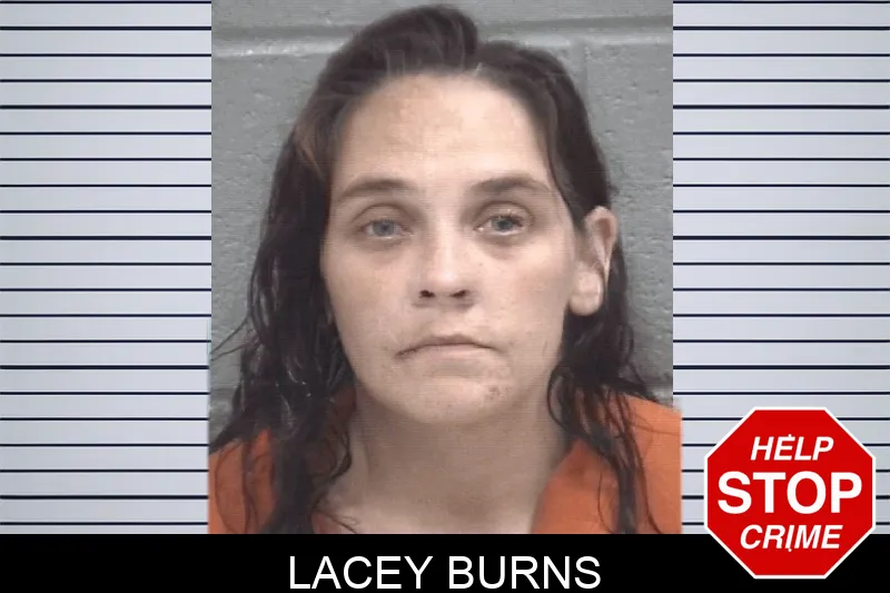 Lacey Burns mugshot – Columbia County , Georgia Lacey Burns mugshot
