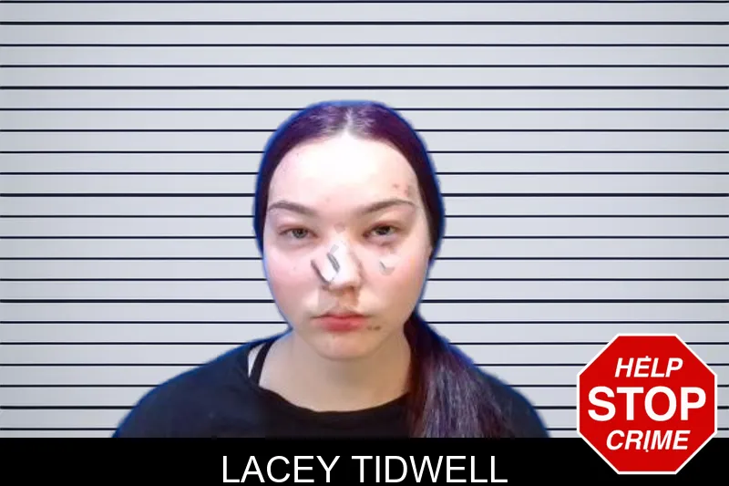 Lacey Tidwell mugshot – Troup County , Georgia Lacey Tidwell mugshot