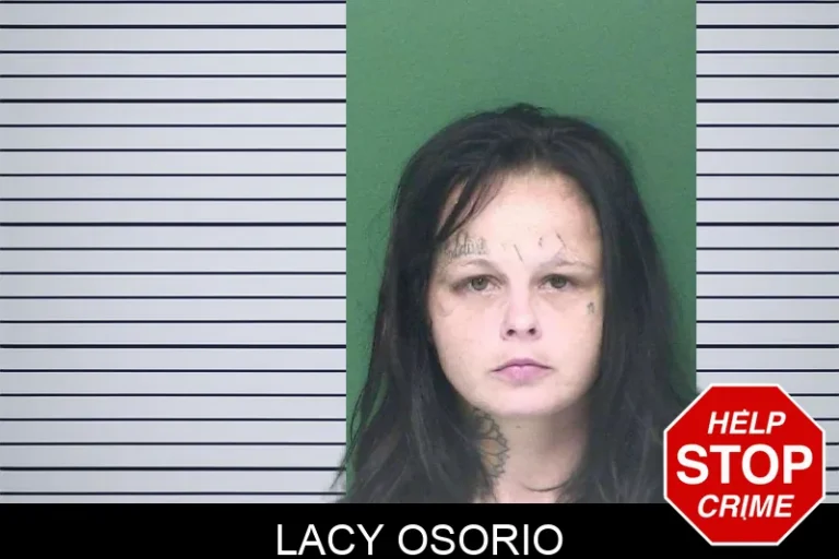 Lacy Osorio mugshot – Appling County , Georgia Lacy Osorio