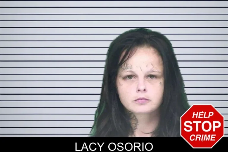 Lacy Osorio mugshot – Appling County , Georgia Lacy Osorio