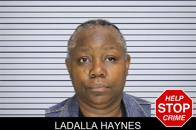 Ladalla Haynes mugshot – Cobb County , Georgia Ladalla Haynes mugshot