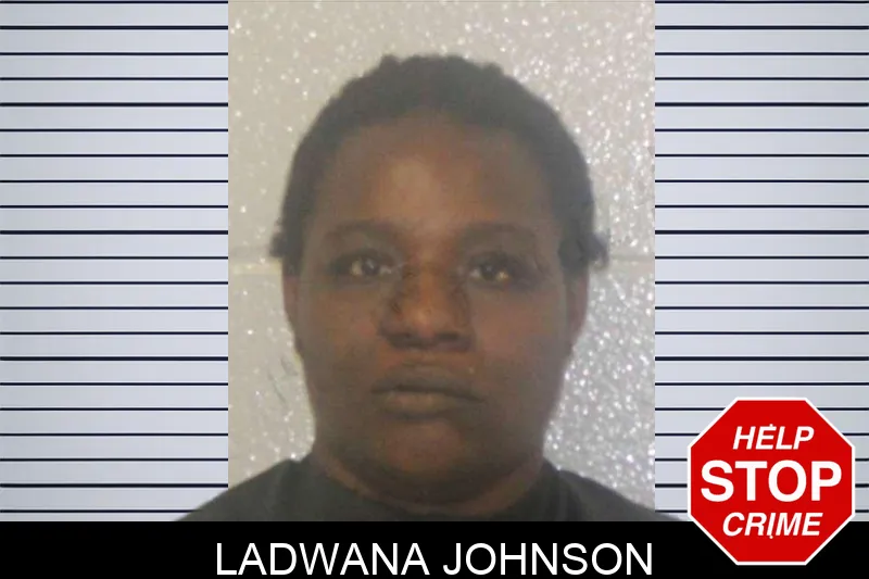 Ladwana Johnson mugshot