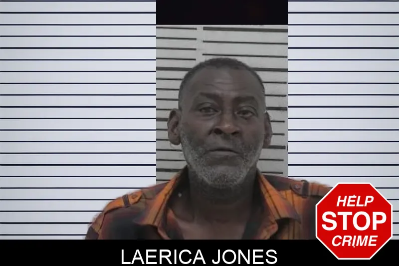 Laerica Jones mugshot