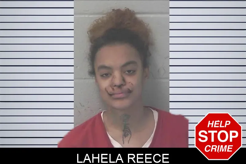 Lahela Reece mugshot – Newton County , Georgia Lahela Reece mugshot