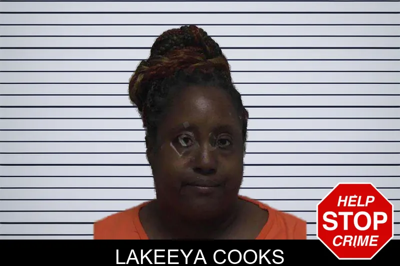 Lakeeya Cooks mugshot – Laurens County , Georgia Lakeeya Cooks mugshot