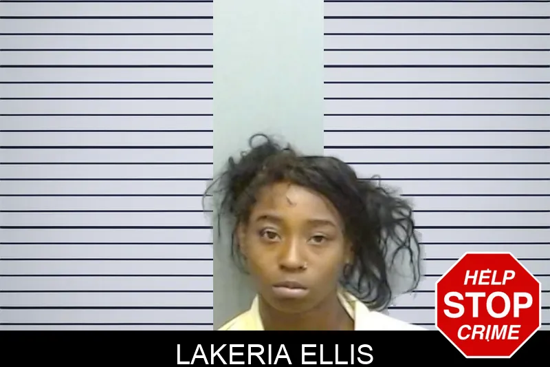 Lakeria Ellis mugshot