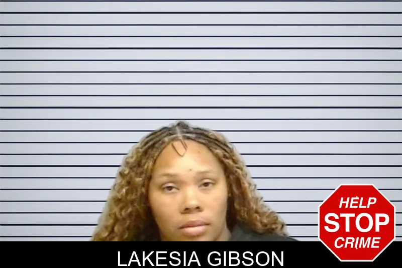 Lakesia Gibson mugshot