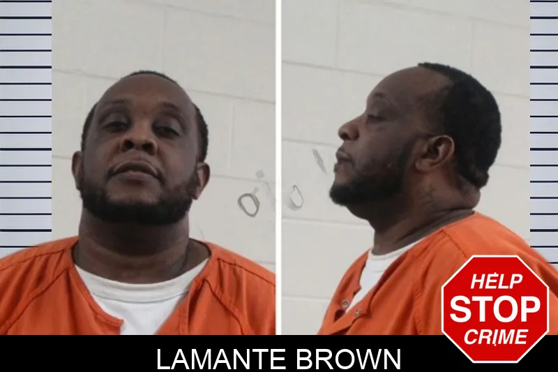 Lamante Brown mugshot