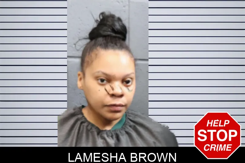 Lamesha Brown mugshot – Forsyth County , Georgia Lamesha Brown mugshot