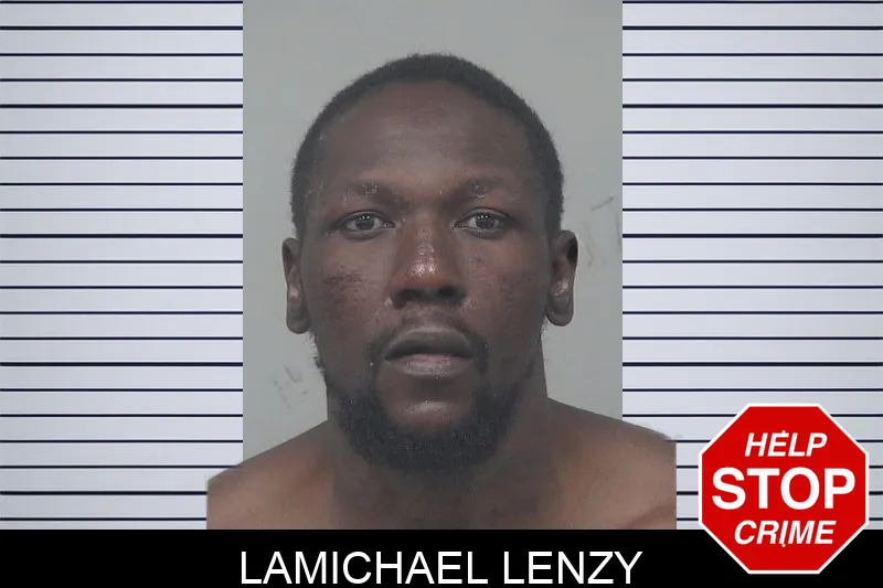 Lamichael Lenzy mugshot