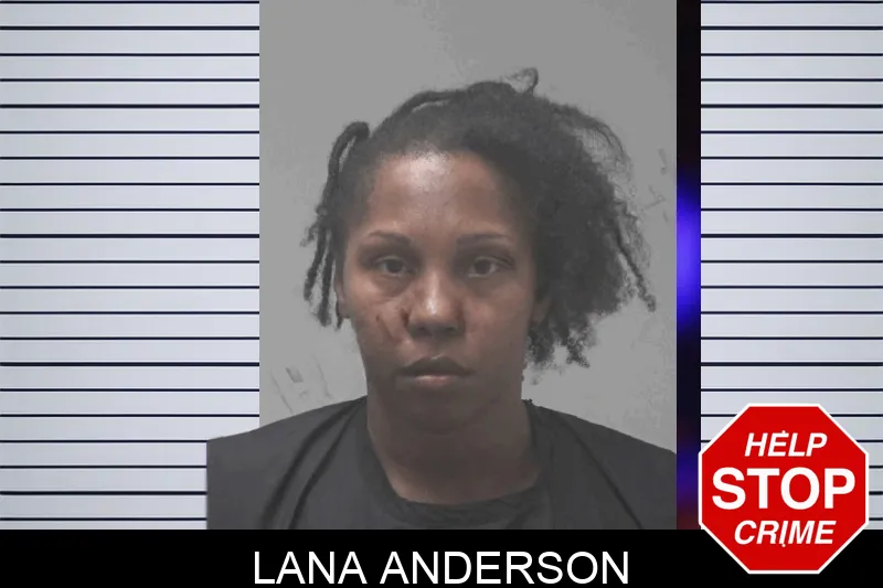 Lana Anderson mugshot