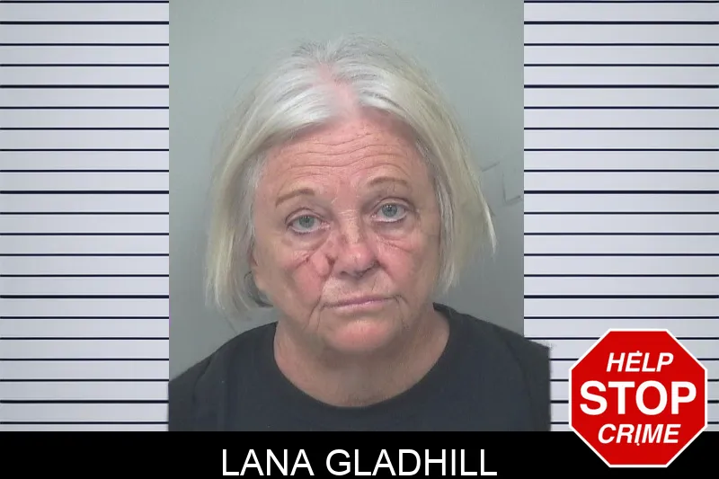 Lana Gladhill mugshot – Gwinnett County , Georgia Lana Gladhill mugshot