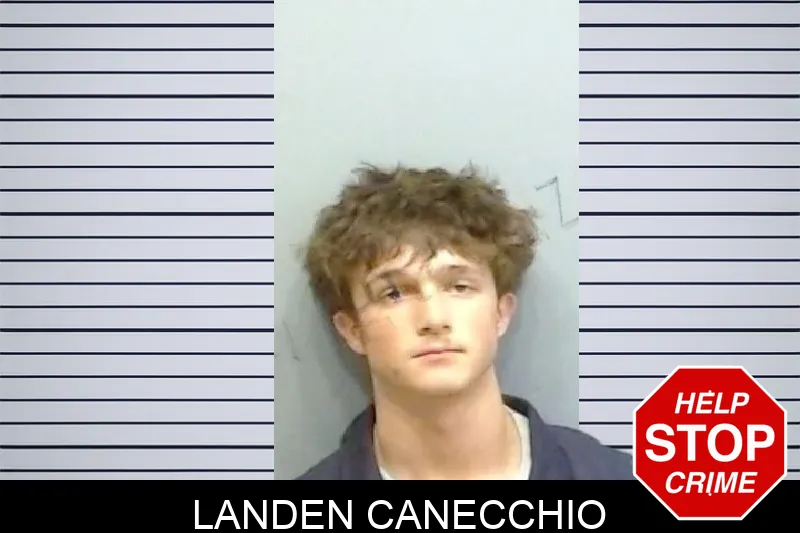 Landen Canecchio mugshot