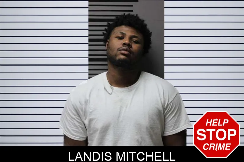 Landis Mitchell mugshot