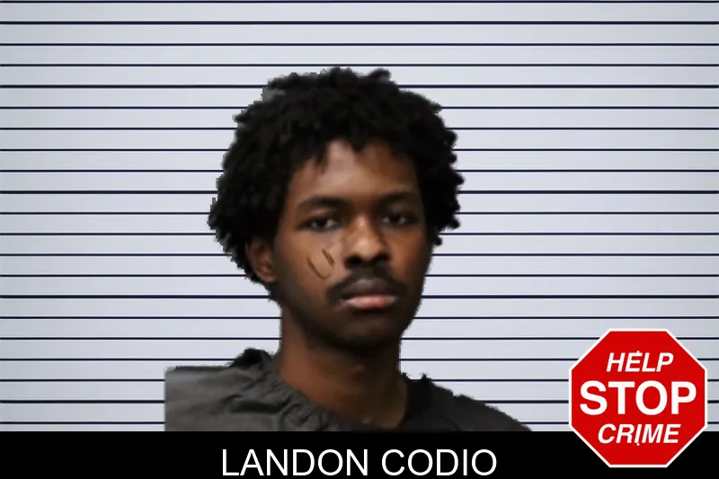Landon Codio mugshot