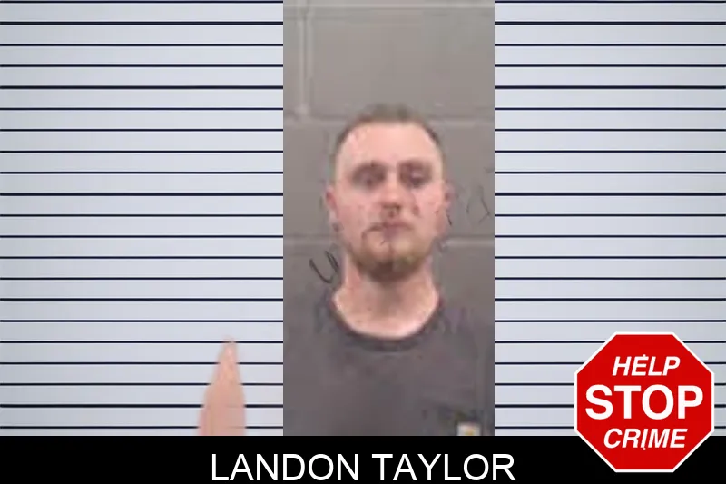 Landon Taylor mugshot