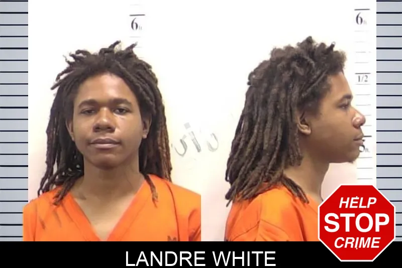 Landre White mugshot