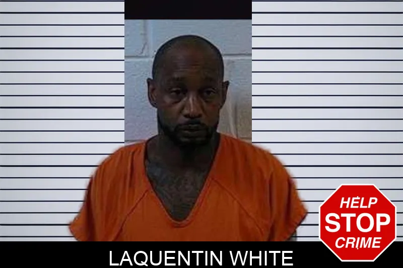 Laquentin White mugshot – Polk County , Georgia Laquentin White mugshot
