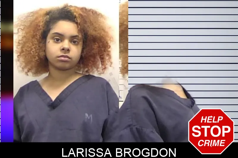 Larissa Brogdon mugshot