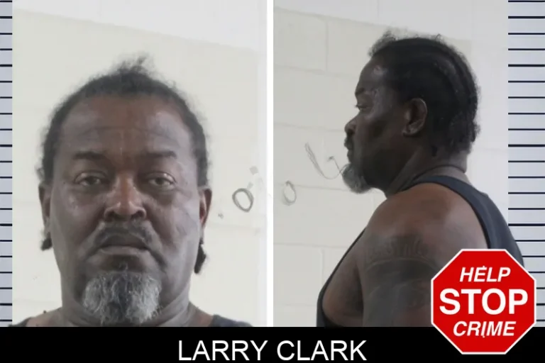 Larry Clark mugshot – Houston County , Georgia Larry Clark