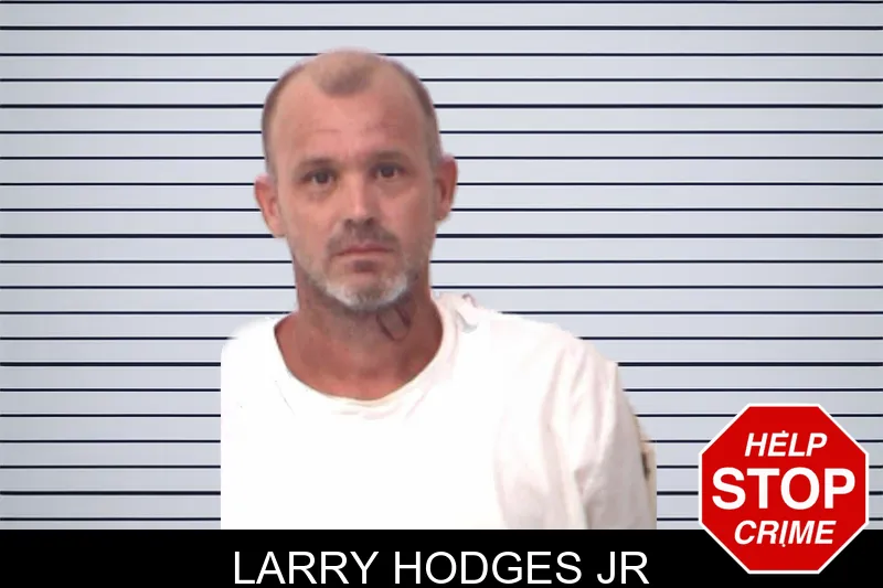 Larry Hodges Jr mugshot