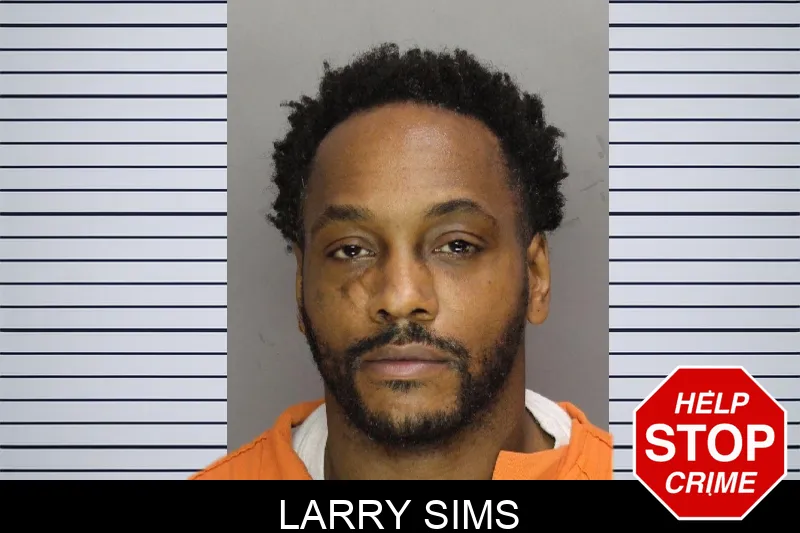 Larry Sims mugshot – Cobb County , Georgia Larry Sims mugshot