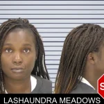 Lashaundra Meadows mugshot – Richmond County , Georgia Lashaundra Meadows mugshot