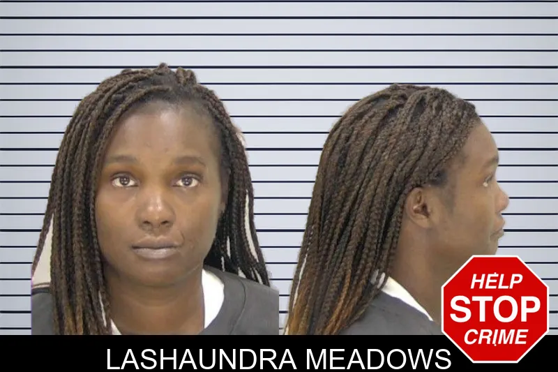 Lashaundra Meadows mugshot