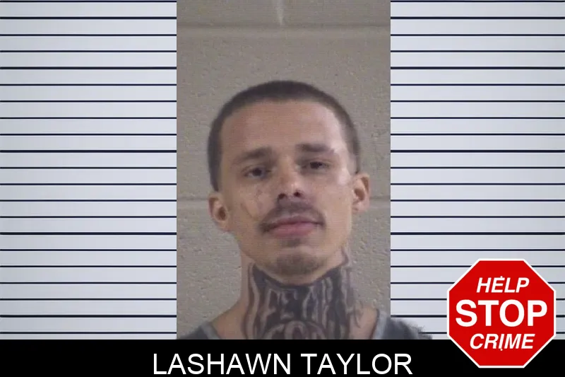 Lashawn Taylor mugshot – Whitfield County , Georgia Lashawn Taylor mugshot