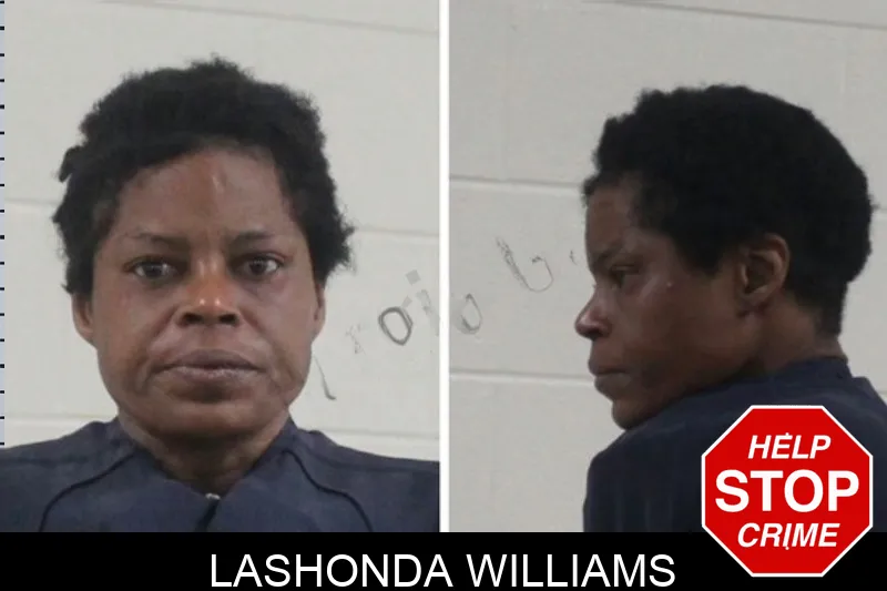 Lashonda Williams mugshot