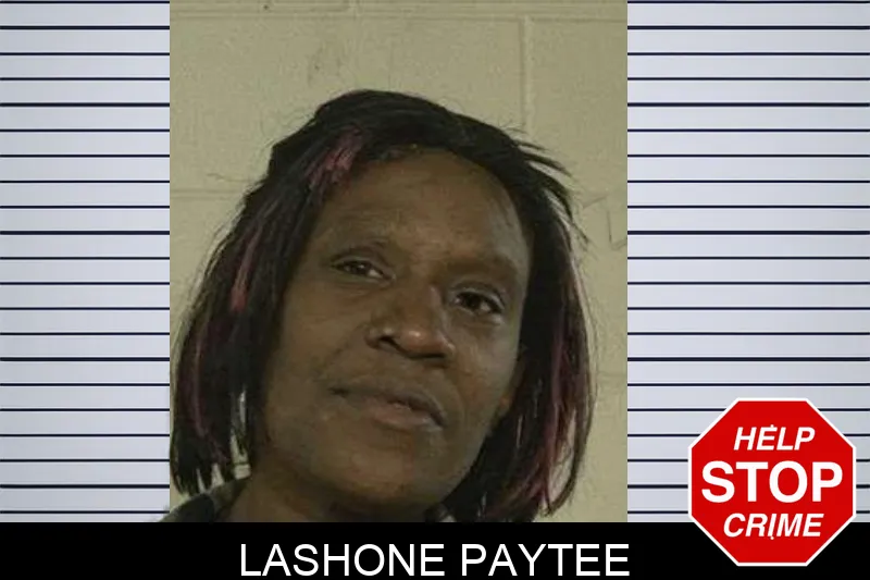Lashone Paytee mugshot – Liberty County , Georgia Lashone Paytee mugshot