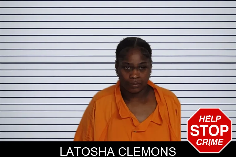 Latosha Clemons mugshot