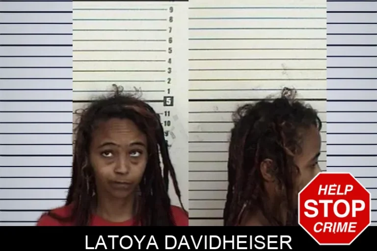Latoya Davidheiser mugshot – Camden County , Georgia Latoya Davidheiser