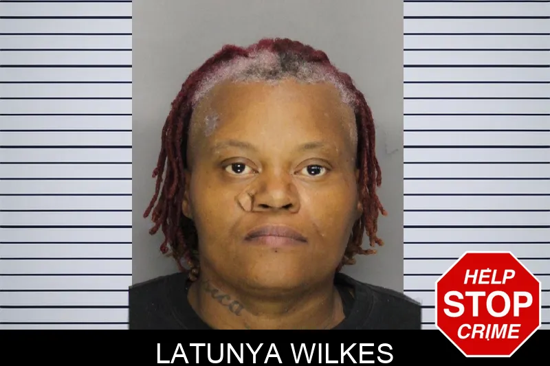 Latunya Wilkes mugshot
