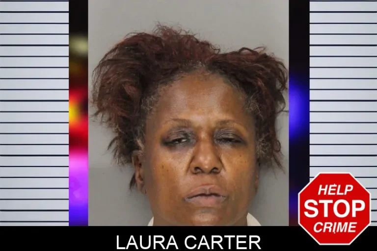 Laura Carter mugshot – Cobb County , Georgia Laura Carter