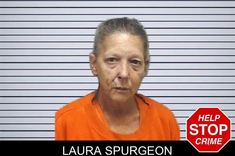 Laura Spurgeon mugshot – Cherokee County , Georgia Laura Spurgeon mugshot