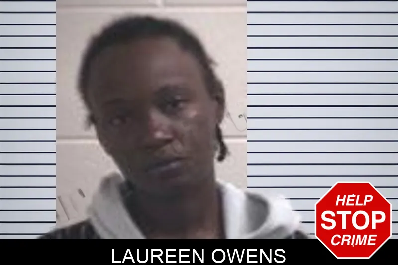 Laureen Owens mugshot